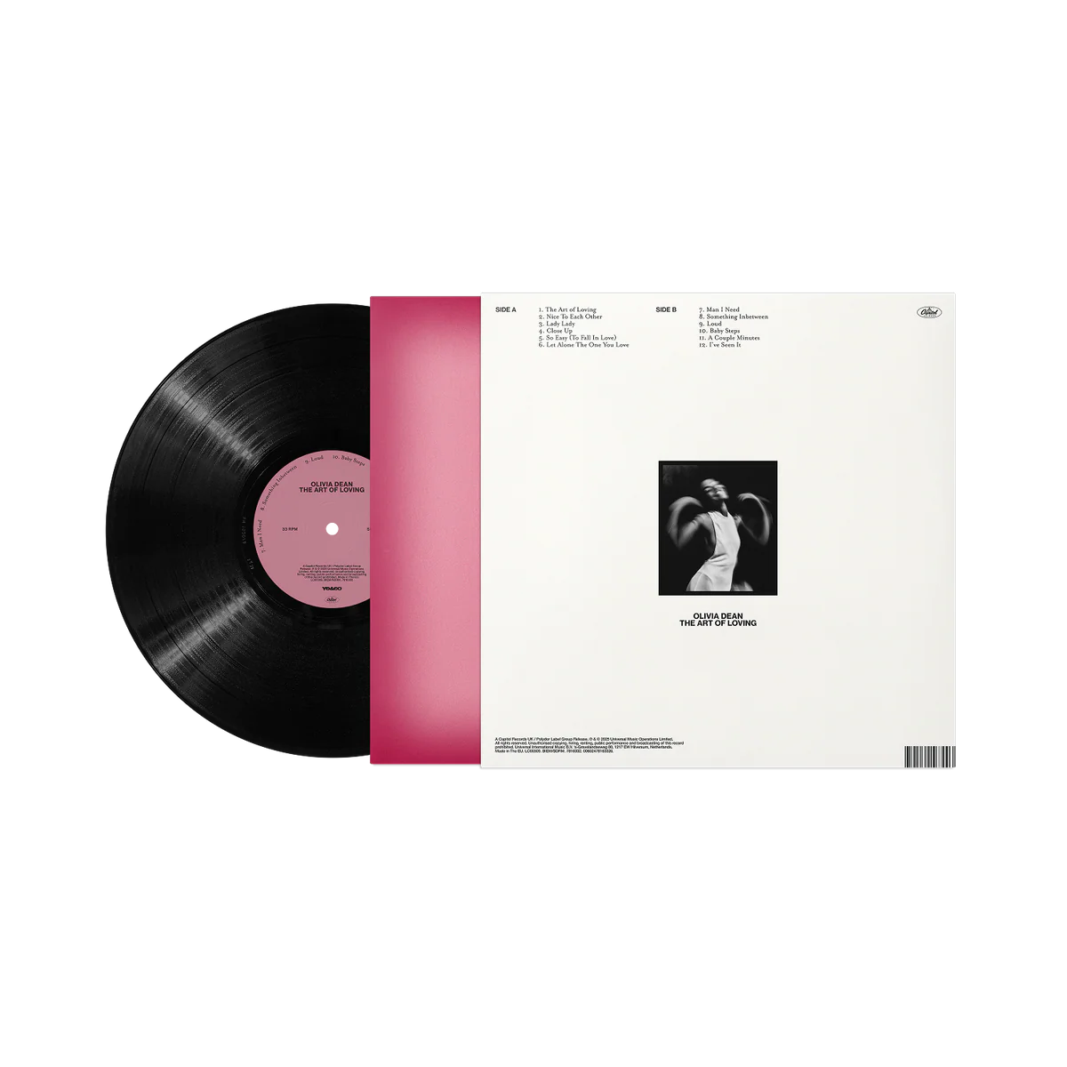 The Art of Loving Vinyl