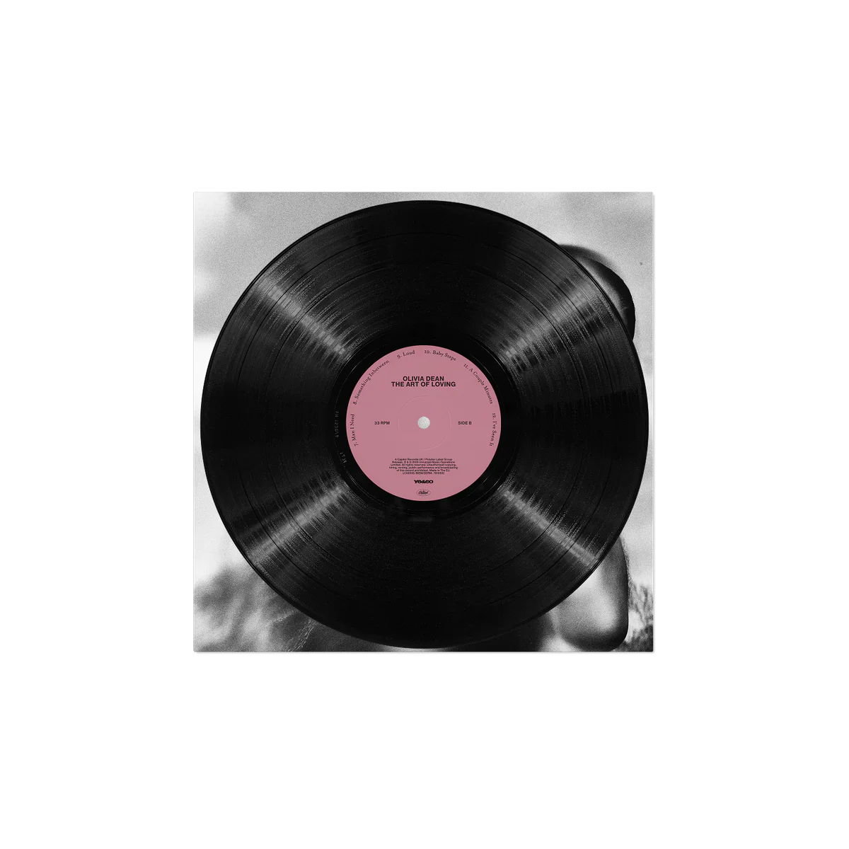 The Art of Loving Vinyl